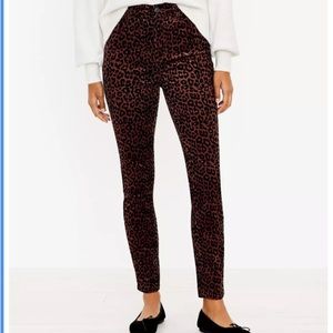 LOFT leopard print skinny corduroy pants